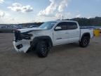 TOYOTA TACOMA DOU photo