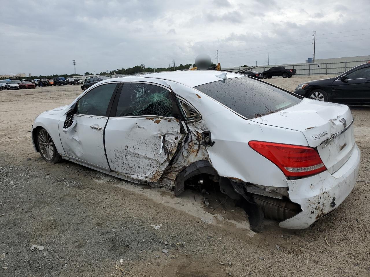 Lot #2938174949 2015 HYUNDAI EQUUS SIGN