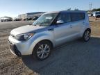 KIA SOUL + photo