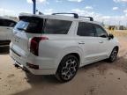 HYUNDAI PALISADE C photo