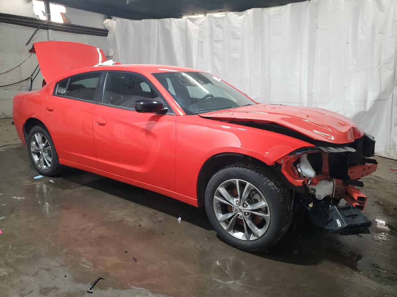 Lot #2986998856 2023 DODGE CHARGER SX