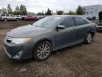 TOYOTA CAMRY SE photo