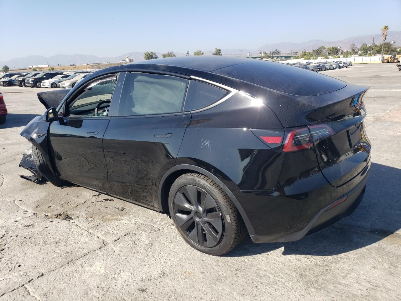 Lot #2943430669 2024 TESLA MODEL Y