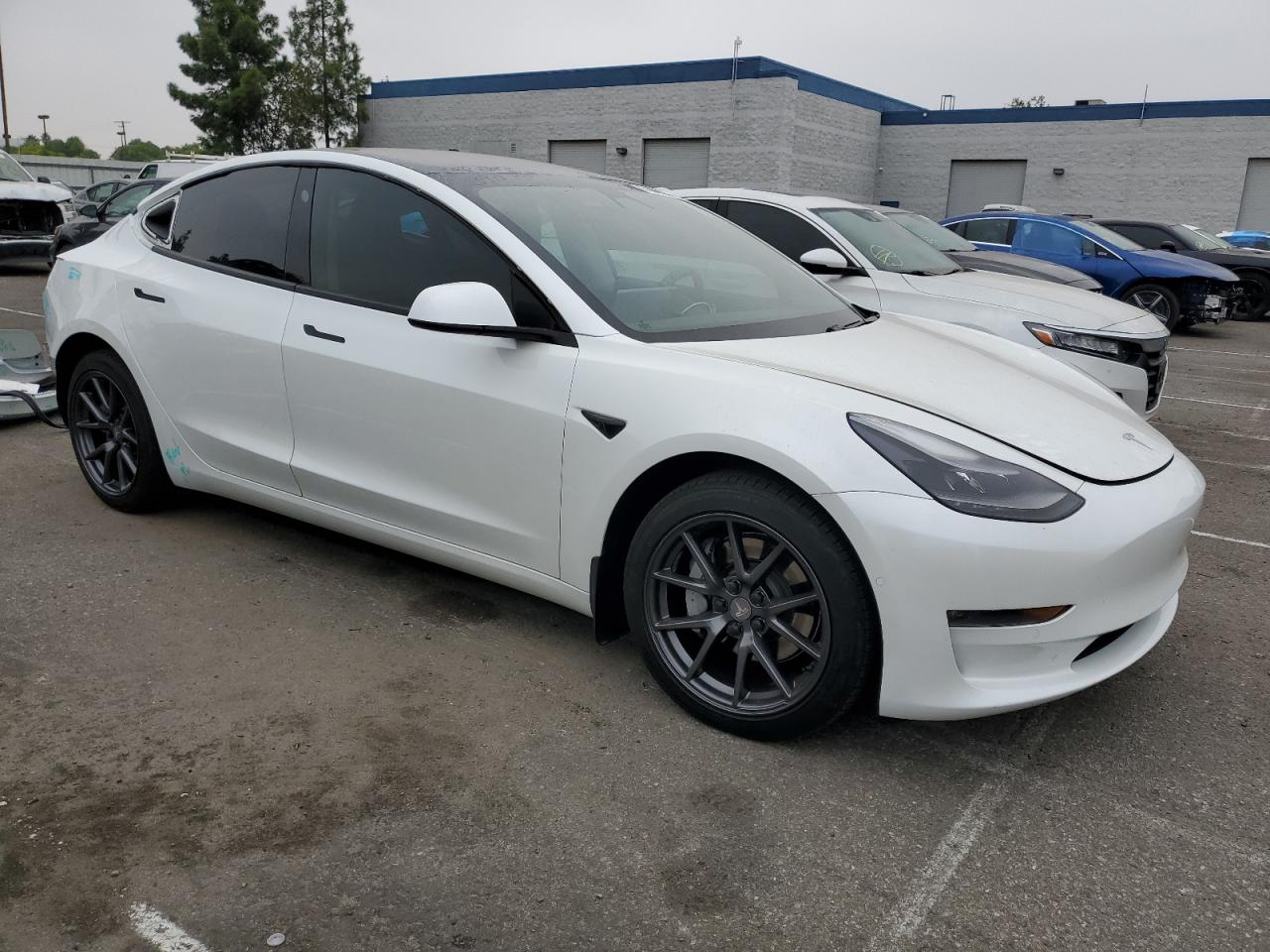 Lot #2986777149 2021 TESLA MODEL 3