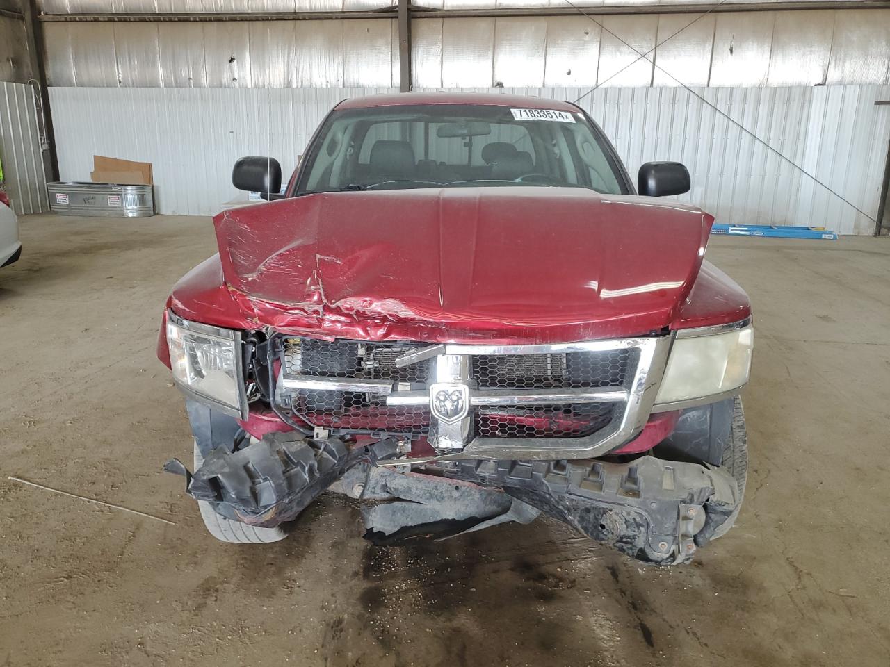 Lot #2976754794 2010 DODGE DAKOTA LAR