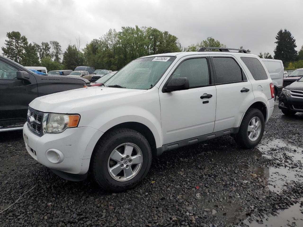 Ford Escape 2010 XLT