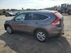 HONDA CR-V EXL photo