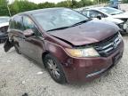 HONDA ODYSSEY EX photo