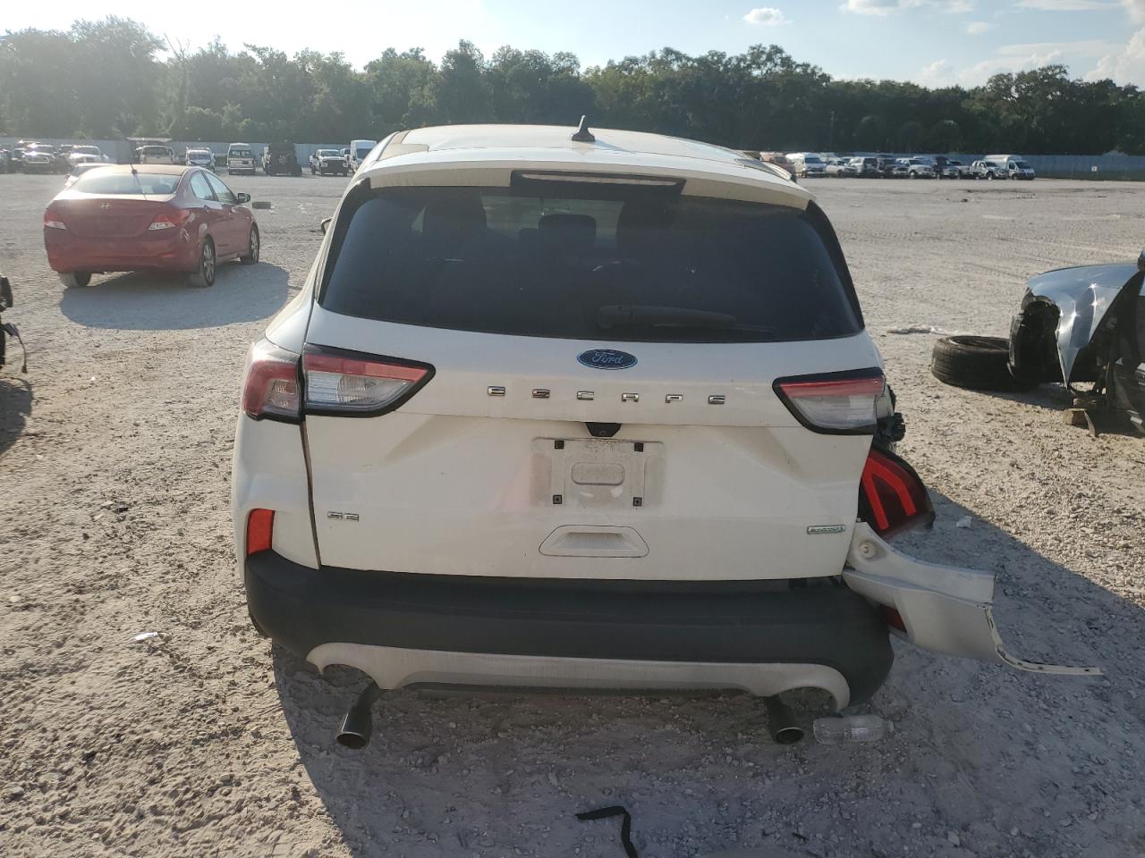 Lot #2989212756 2020 FORD ESCAPE SE