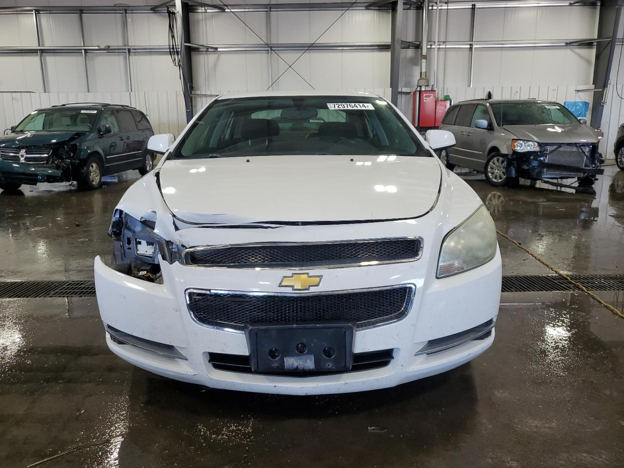 Lot #2905055182 2009 CHEVROLET MALIBU 1LT