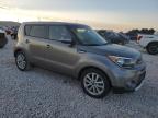 KIA SOUL + photo