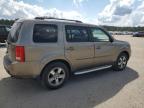 HONDA PILOT EXL photo