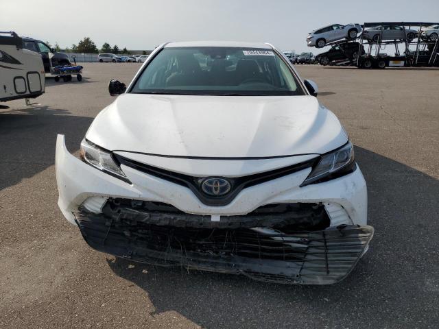 2019 TOYOTA CAMRY LE - 4T1B31HK5KU005388