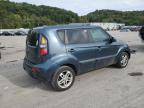 KIA SOUL + photo