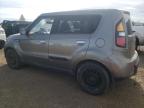 KIA SOUL + photo