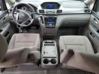 HONDA ODYSSEY EX photo