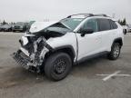 Lot #2962755072 2021 TOYOTA RAV4 LE