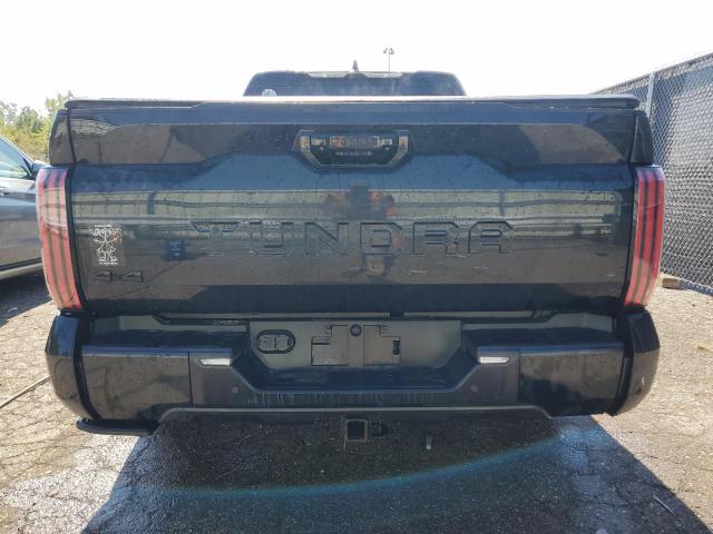 2022 TOYOTA TUNDRA CRE - 5TFNA5EC8NX007277
