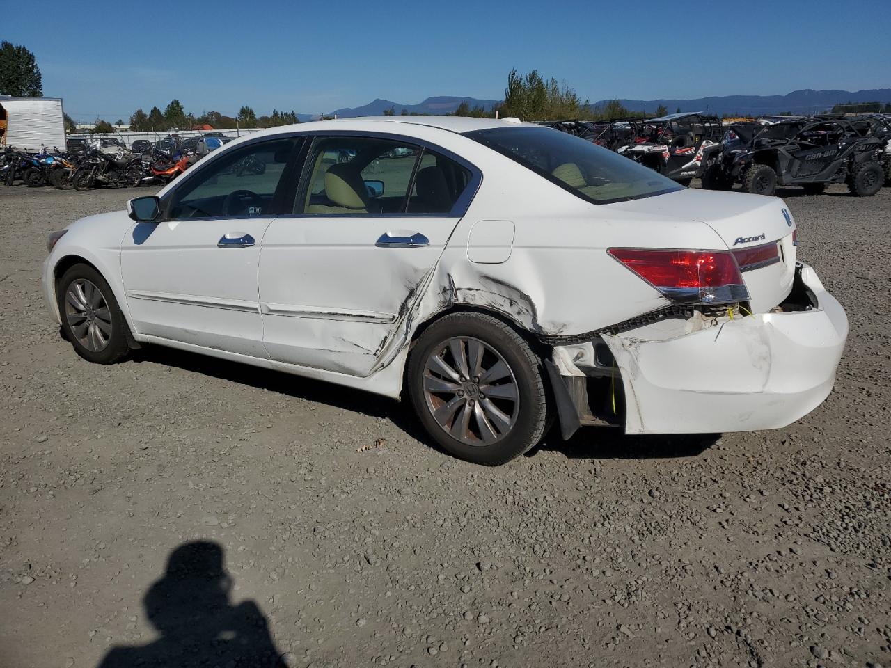 Lot #2893465587 2011 HONDA ACCORD EXL