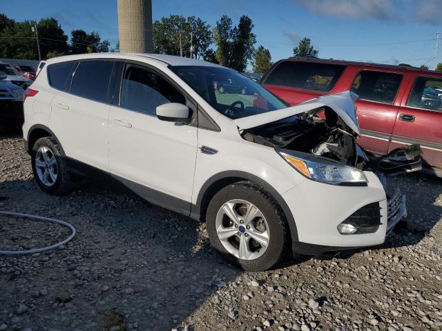 VIN 1FMCU0GX5GUA92306 2016 Ford Escape, SE no.4