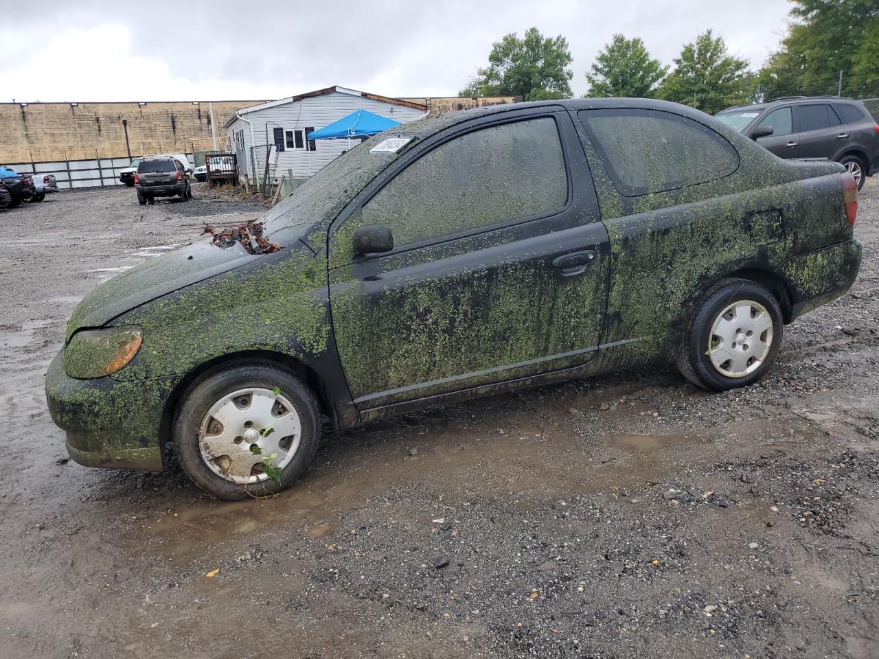 Lot #3034422716 2002 TOYOTA ECHO