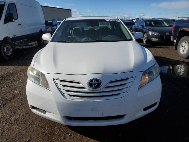 2019 TOYOTA /S/LE/XLE 4T1BE46K19U874580