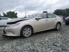 2015 LEXUS ES 350 - JTHBK1GG5F2199134