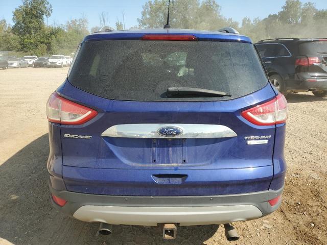 VIN 1FMCU0J90EUC20507 2014 Ford Escape, Titanium no.6