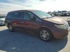 HONDA ODYSSEY EX photo