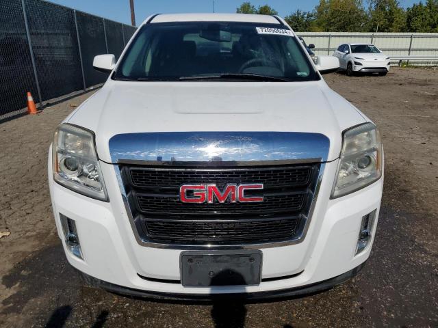 2010 GMC TERRAIN SL 2CTALBEW2A6348514  72050634