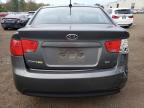 KIA FORTE EX photo