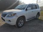 LEXUS LX 570 снимка