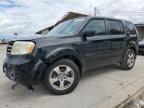 HONDA PILOT EXL photo