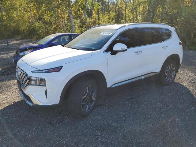 Global Auto Auctions: 2023 HYUNDAI SANTA FE L