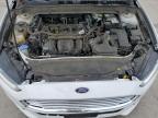 FORD FUSION SE photo