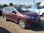 HONDA CR-V EX photo