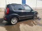 KIA SOUL + photo