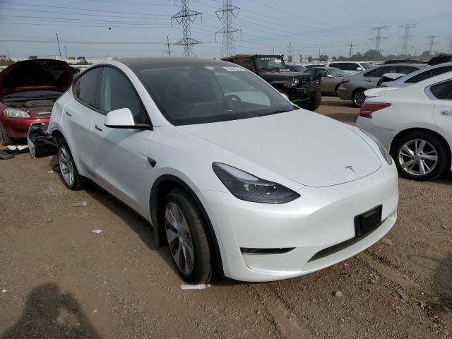 2023 TESLA MODEL Y - 7SAYGDEE4PF756939