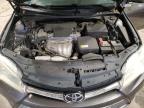 TOYOTA CAMRY LE photo