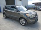 KIA SOUL + photo