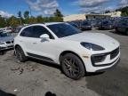 Lot #2957387460 2024 PORSCHE MACAN BASE