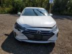 HYUNDAI ELANTRA SE photo