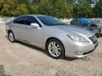 LEXUS ES 350 photo