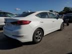 HYUNDAI ELANTRA EC photo