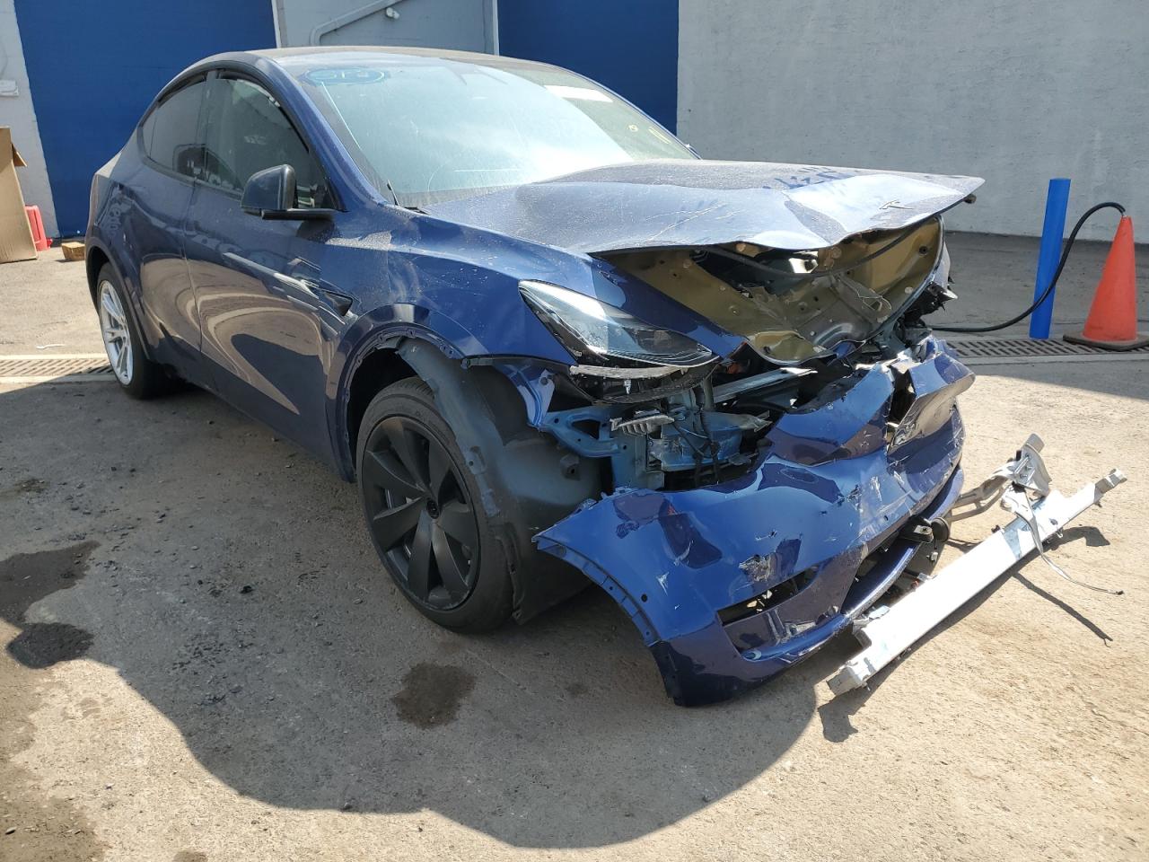 Lot #2885464854 2021 TESLA MODEL Y