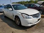 NISSAN ALTIMA BAS photo