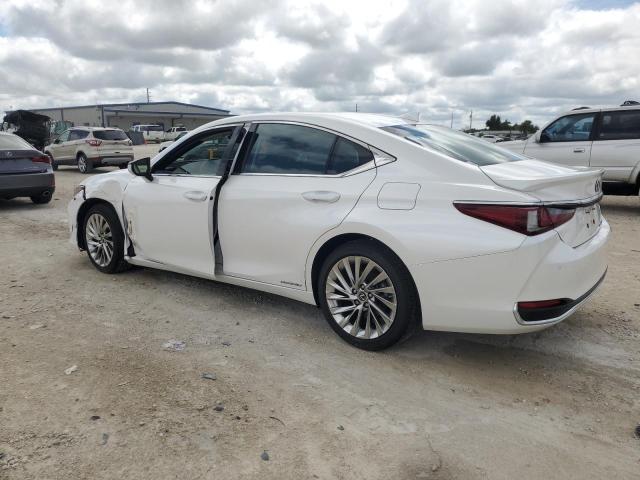 2020 LEXUS ES 300H UL 58AF21B16LU011005