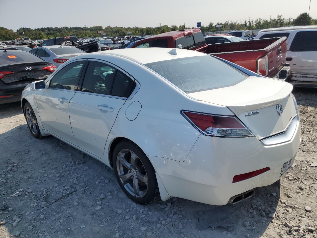 Lot #2840987310 2011 ACURA TL