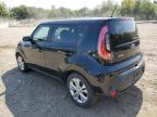 KIA SOUL + photo