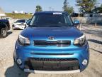 KIA SOUL + photo